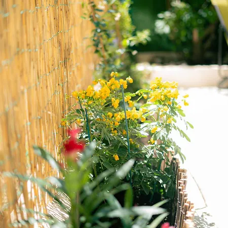 2 Pieces A 150 Metres De La Apartment