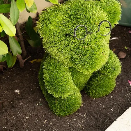 Apartman 2 Pieces A 150 Metres De La Antibes