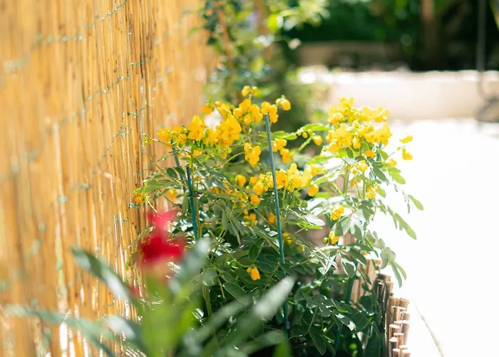 2 Pieces A 150 Metres De La شقة